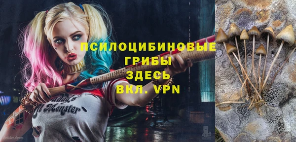 ПСИЛОЦИБИНОВЫЕ ГРИБЫ Алексеевка