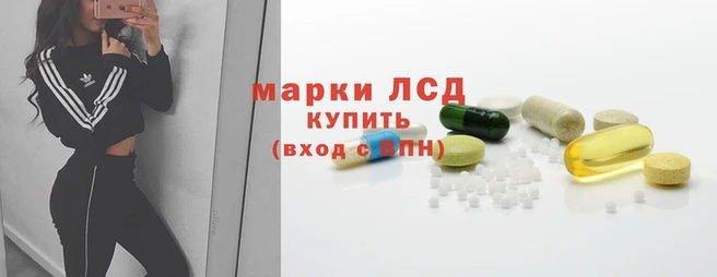 ПСИЛОЦИБИНОВЫЕ ГРИБЫ Алексеевка