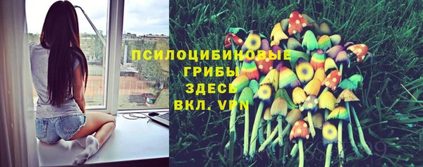 таблы Алексин