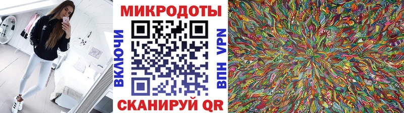 закладки  Гвардейск  Псилоцибиновые грибы Cubensis 