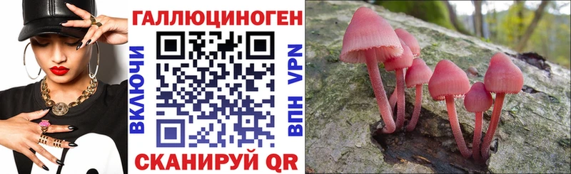 Галлюциногенные грибы ЛСД Гвардейск