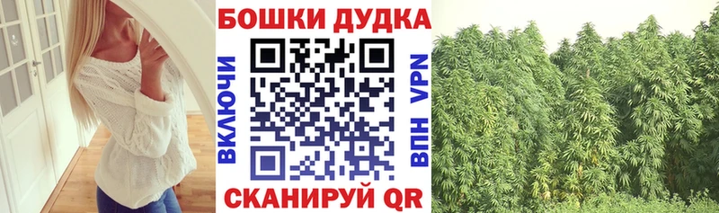 цены наркотик  Гвардейск  Бошки марихуана гибрид 